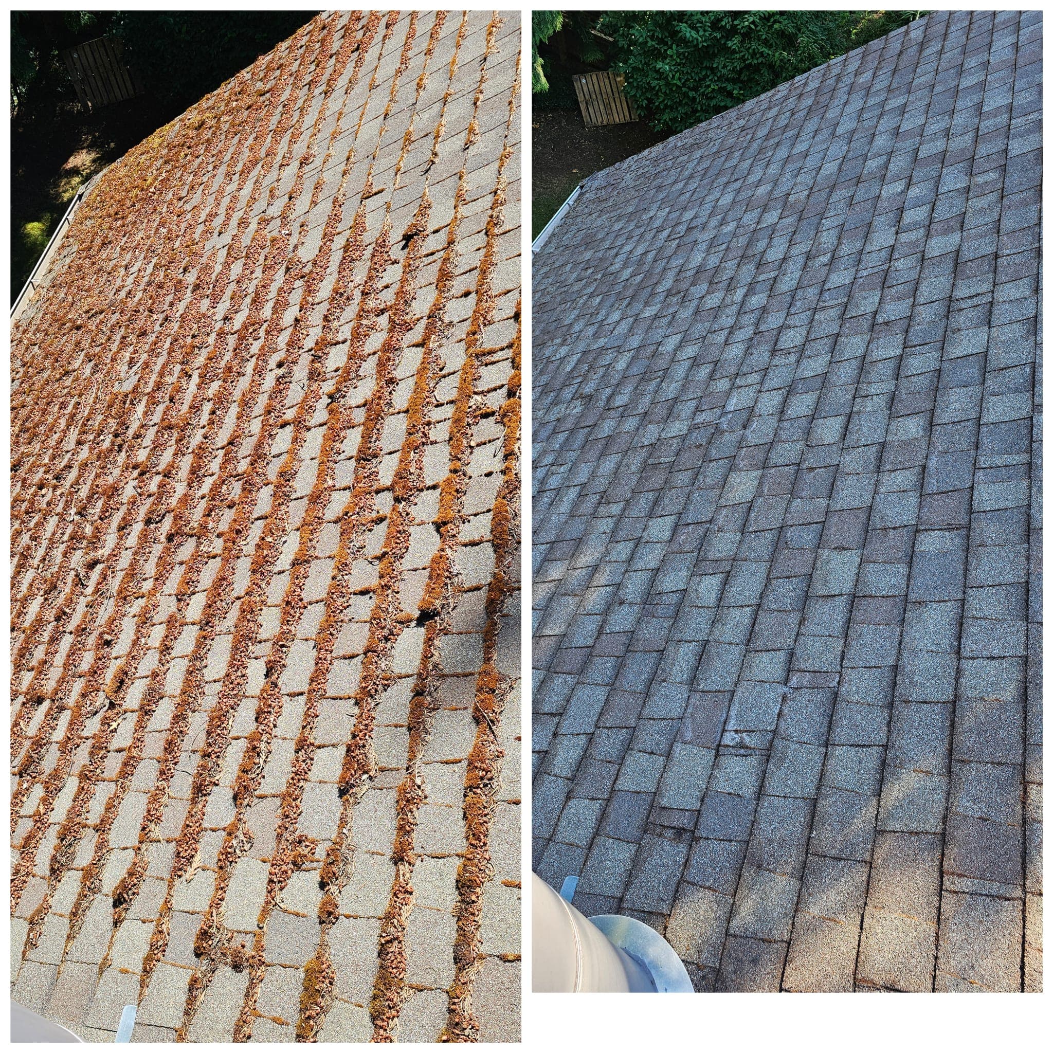 Roof Moss Removal
